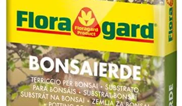 Spezialerde für das Umtopfen von Bonsais