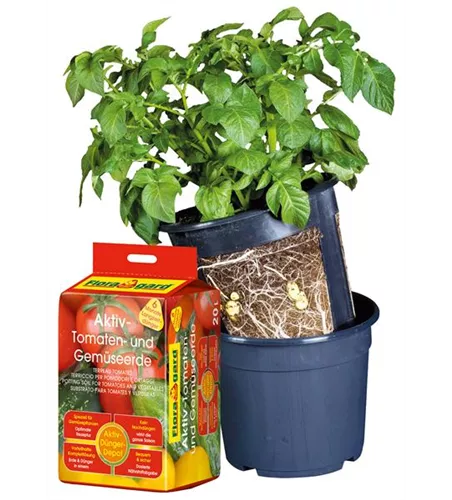 Floragard Potato Pot Set