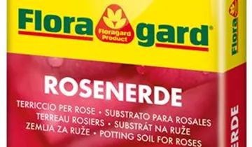 Spezialerde für Rosen im Kübel und im Gartenbeet