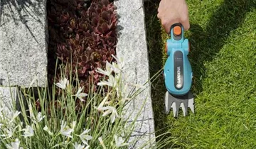 Gardena Akku-Grasschere ComfortCut Li