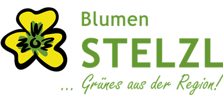 Blumen Stelzl OG