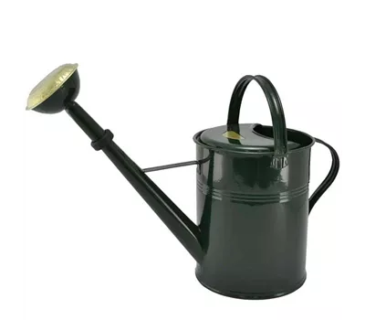 Gießkanne mit Messingbrause und Gummid 9L grün