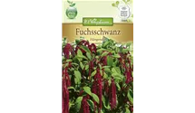 Amaranthus caudatus, rot