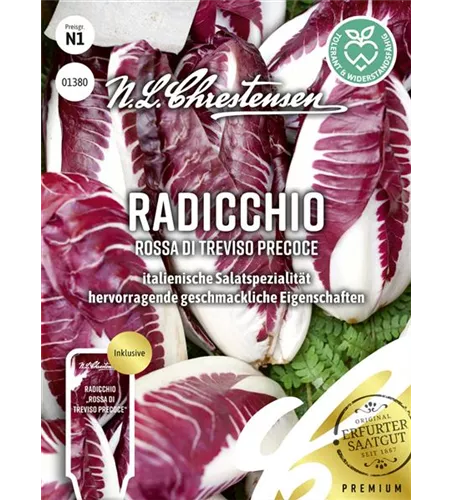 Radicchiosamen 'Rosso di Treviso Precoce'