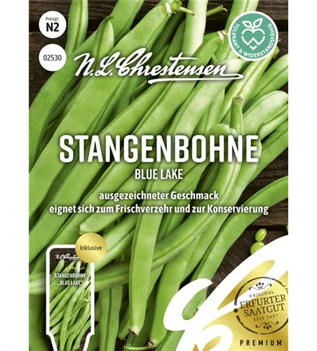 Stangenbohnensamen 'Blue Lake'