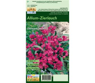 Asiatischer Berglauch