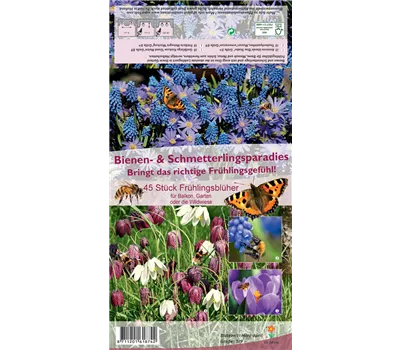 Bienen- & Schmetterlingsparadies