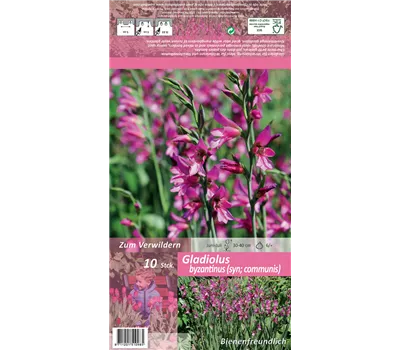 Gewöhnliche Siegwurz