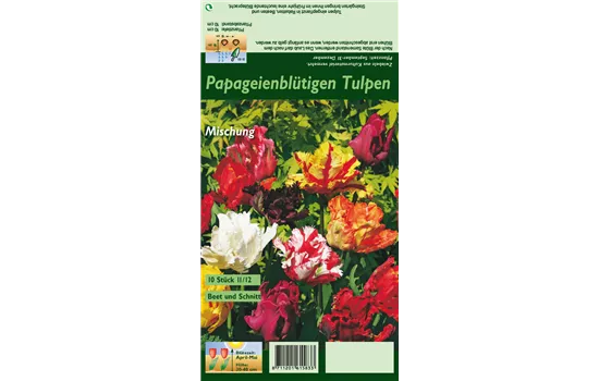 Papageien-Tulpen Papageien-Tulpen