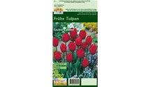 Blumenzwiebel Set 'Red Romance'