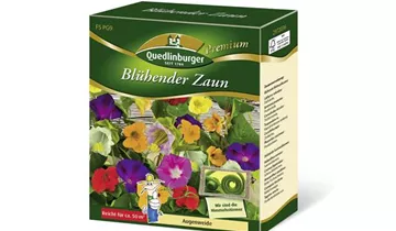 Sommerblumen 'Blühender Zaun'