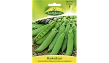 Pisum sativum 'Wunder von Kelvedon'