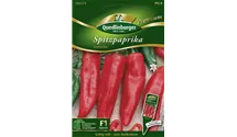 Capsicum annuum 'Demetra'
