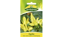 Capsicum annuum 'Feher'