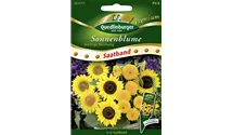 Helianthus annuus 'Niedrige Mischung'