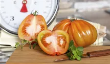 Solanum lycopersicum Fleischtomate