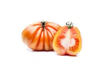Solanum lycopersicum Fleischtomate