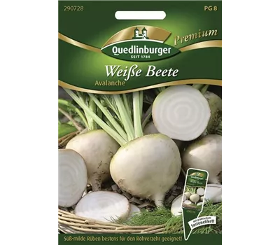 Weiße Bete-Samen 'Avalanche'