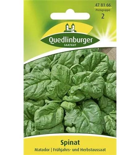 Spinatsamen 'Matador'