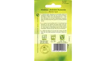 Brassica campestris 'Namenia'