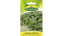 Brassica campestris 'Namenia'