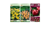 Blumenzwiebel Set 'Rainbow'