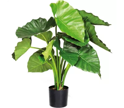 fleur ami ALOCASIA CALIDORA Kunstpflanze