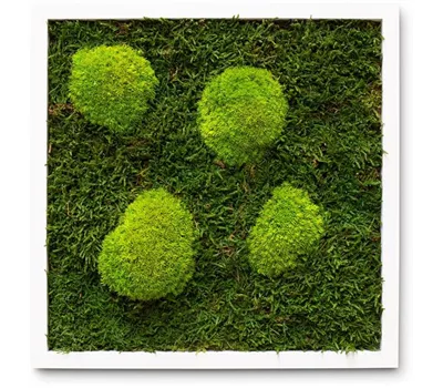 fleur ami PREMIUM Moos-Bild