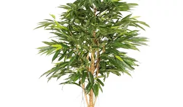 fleur ami LONGIFOLIA ROYAL Kunstpflanze