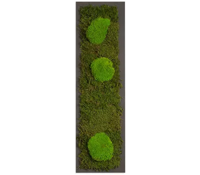 fleur ami PREMIUM Moos-Bild