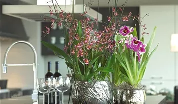 fleur ami LUXURY Tischgefäß