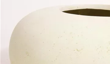 fleur ami POLYSTONE DONUT Pflanzgefäß