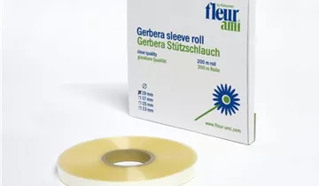 fleur ami GERBERA Rollenware (200 Meter)