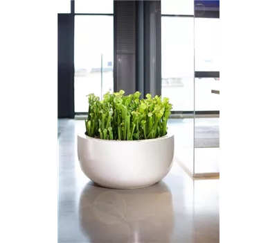 fleur ami PREMIUM CLASSIC Bodengefäß