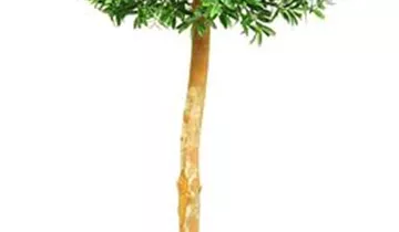 fleur ami ILEX BAUM Kunstpflanze