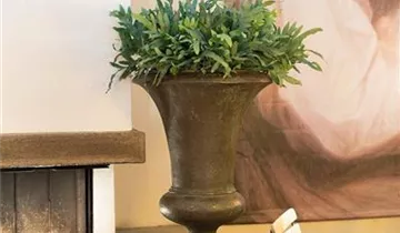 fleur ami AMPHORA Pflanzvase