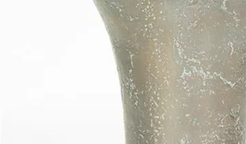 fleur ami AMPHORA Pflanzvase
