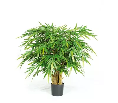 fleur ami BUDDHA BAMBUS DELUXE Kunstpflanze