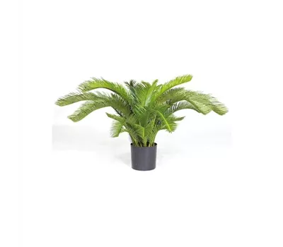 fleur ami CYCASPALME DELUXE Kunstpflanze