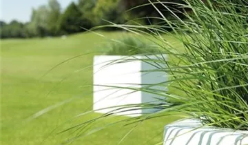 fleur ami PREMIUM CUBUS Pflanzgefäß