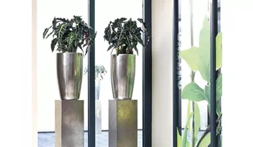 fleur ami PANDORA Pflanzgefäß