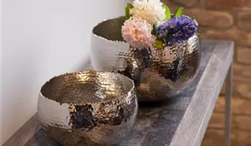fleur ami TAZA Schale