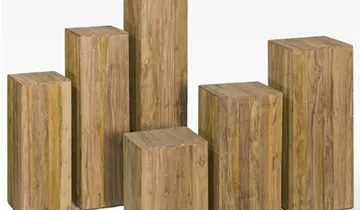 fleur ami TEAK Säule