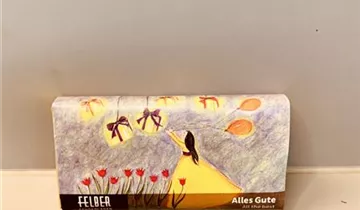 GEFÜLLTE SCHOKOLADEN - “ALLES GUTE”