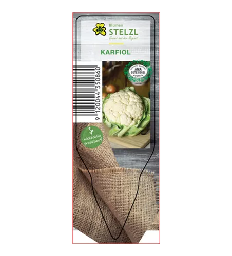 Brassica oleracea Blumenkohl