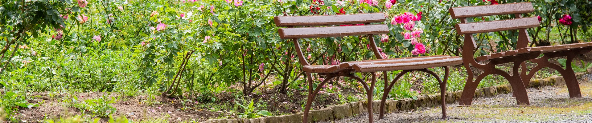 Ambiente im Rosengarten