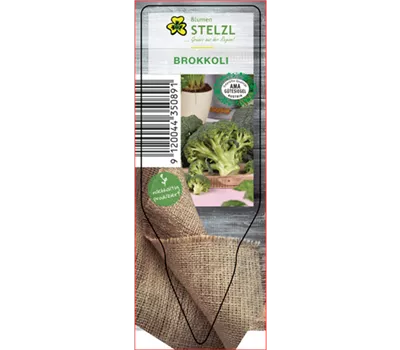 Brassica oleracea var. italica