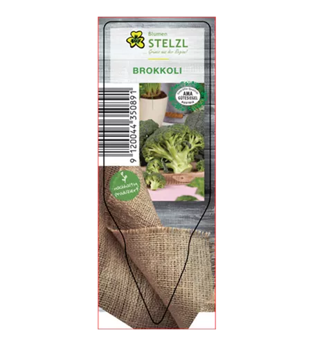 Brassica oleracea var. italica