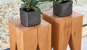 Komplettset mit Stickbewässerung