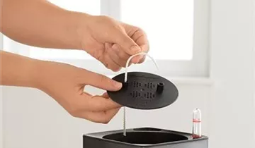 Komplettset mit Stickbewässerung